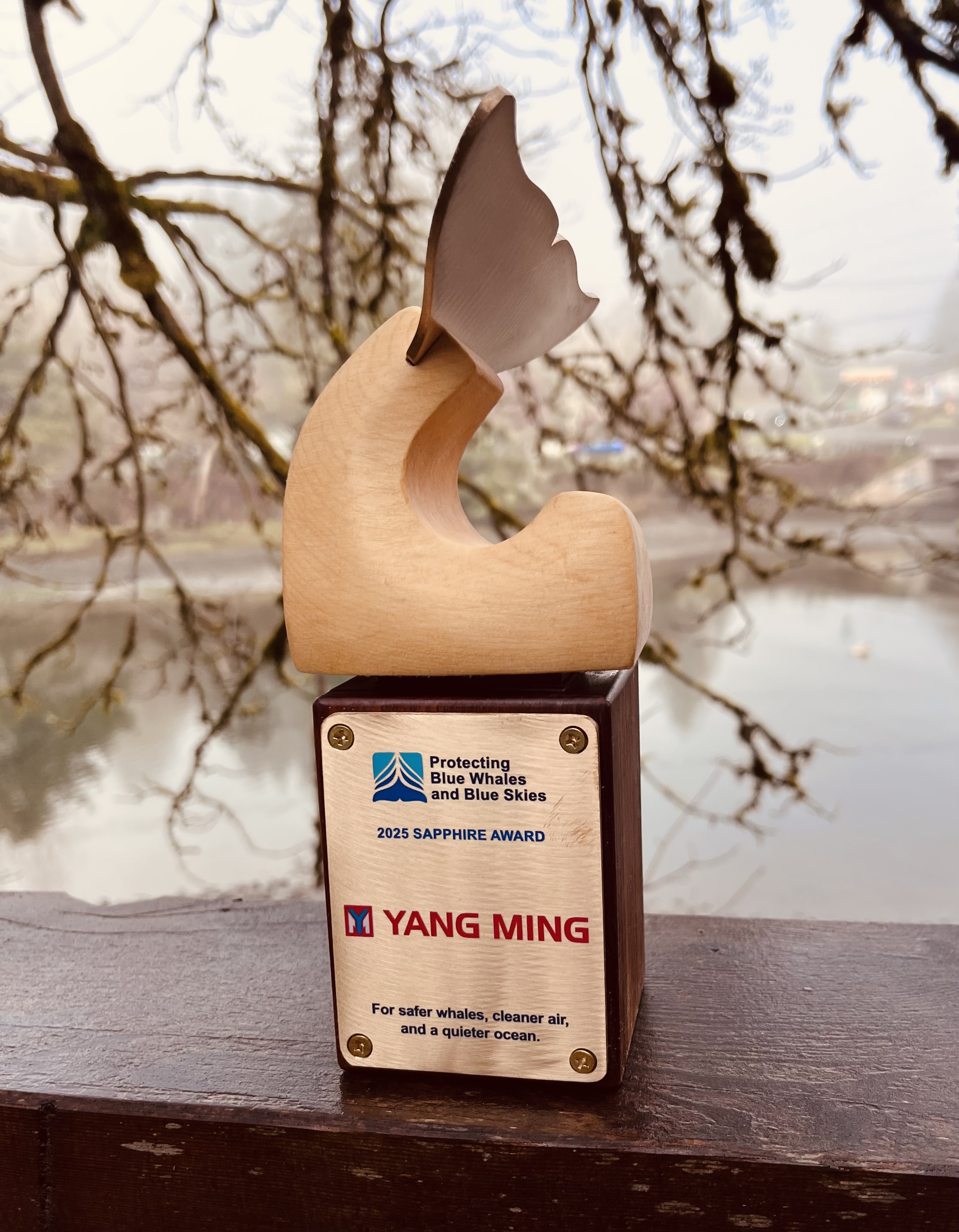 YangMing Marine Transport Corp.